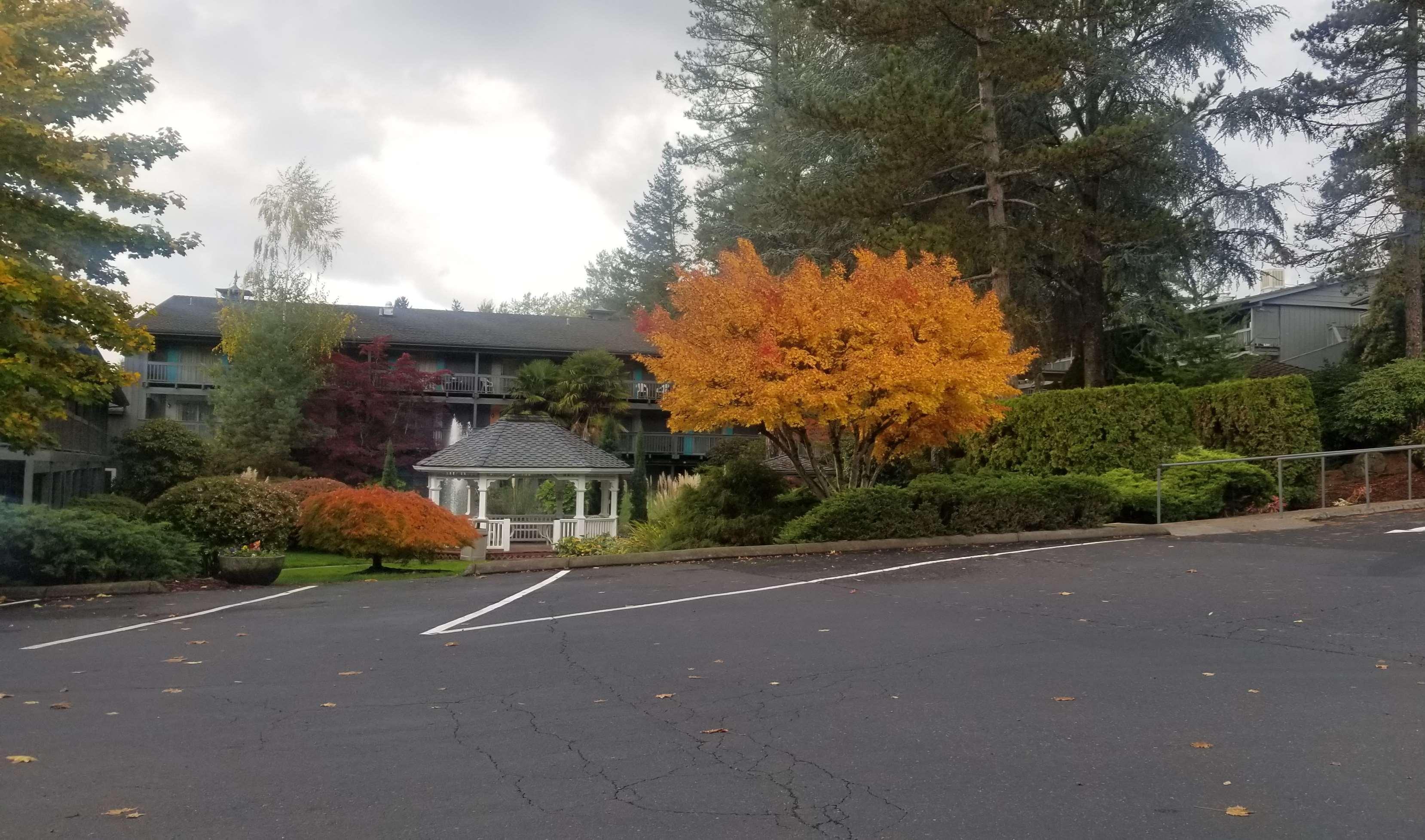 Best Western Portland West Beaverton Hotel Exterior photo